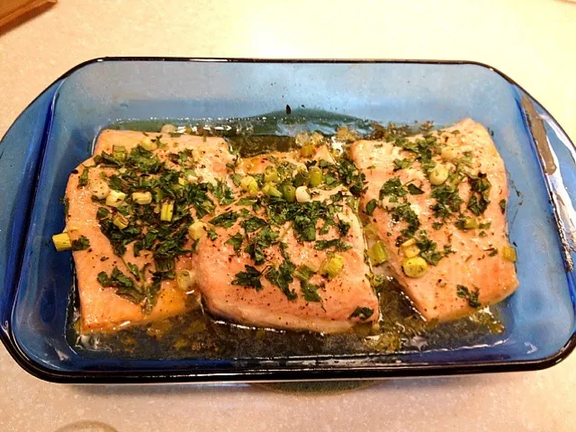 Roasted Salmon|Fran Hyattさん