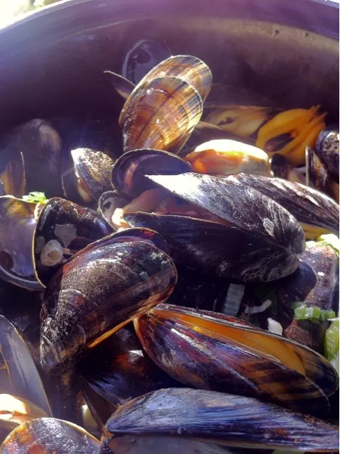 mussels in white wine|Diepak Kisoensinghさん