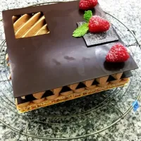 Snapdishの料理写真:Douceur Chocolate; Lady finger biscuit, Crispy Praline and Hazelnut Chocolate Mousse