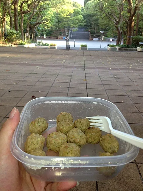 Turkey meat balls at a park!!|kanaさん