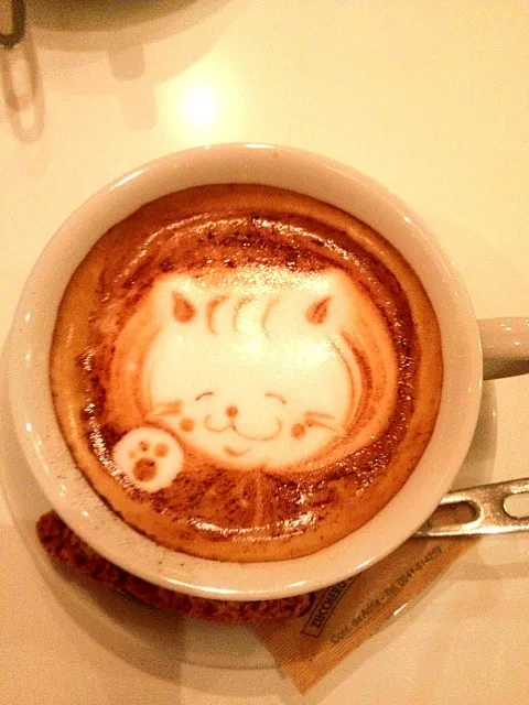 猫のカプチーノ|ひとみさん