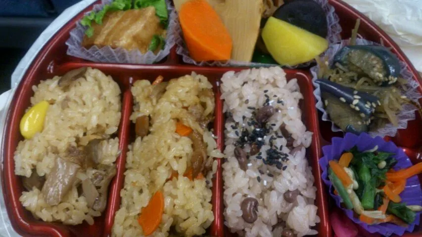 和風角煮のコトコト煮弁当|ボンゴさん