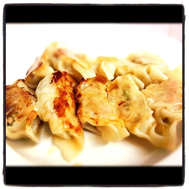 gyoza เกี๊ยวซ่าหมู|sanさん