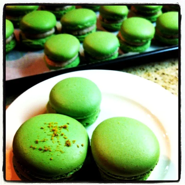 pistachio macaron|janice Williamsさん