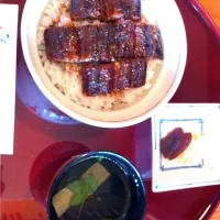 Snapdishの料理写真:うな丼|ミッチェルさん