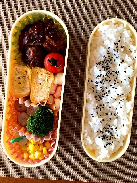 今日のお弁当  自分用|りすなさん