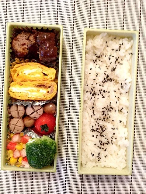 今日のお弁当|りすなさん