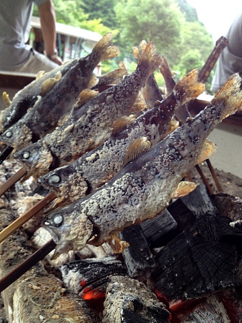 釣り山女魚の塩焼き 中さん Snapdish スナップディッシュ Id Riygya