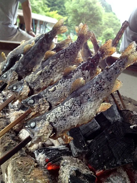 釣り山女魚の塩焼き|中さんさん