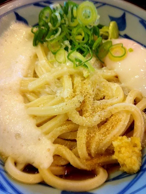 Snapdishの料理写真:とろ玉うどん|camille nelsonさん