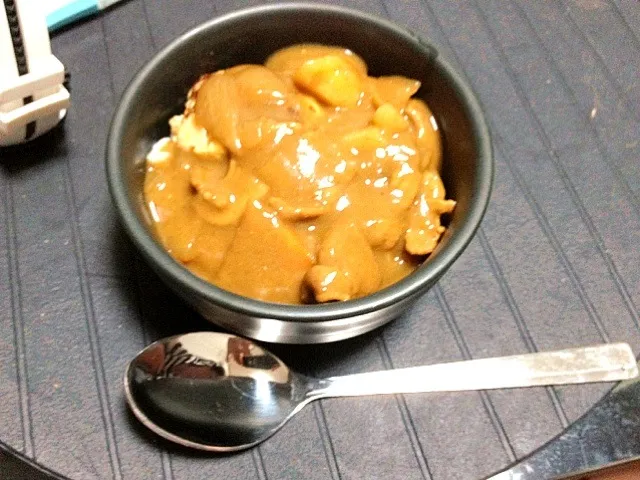 Snapdishの料理写真:ハンバーグカレー|Cocoさん