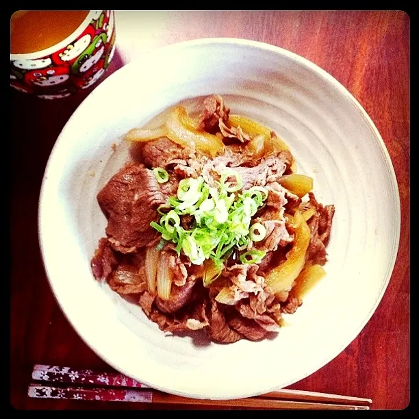 牛丼|うかちゃおんさん