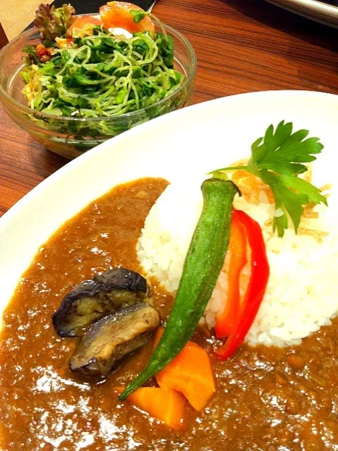 Snapdishの料理写真:薬膳カレーセット|よ〜んさん