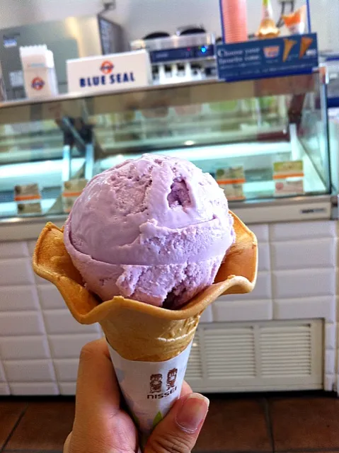 blue seal icecream|RIEさん