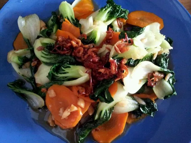 Stir fry veges & carrots with oyster sauce|Cjkさん