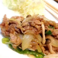 野菜たっぷり生姜焼き。|SeikoNaruseさん