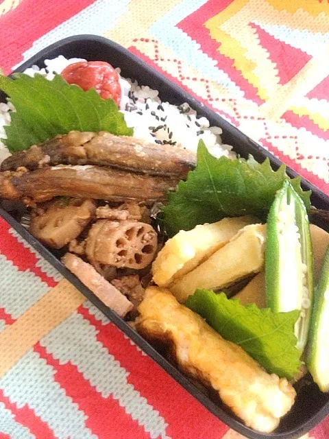 ししゃも甘辛煮弁当|いりごまさん