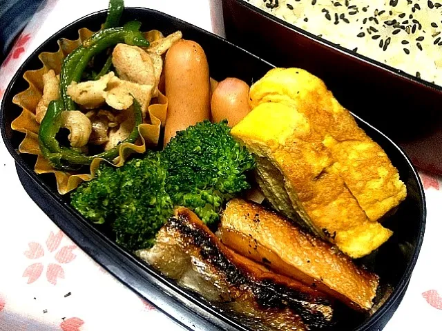 パパさんの手作り弁当|めぐさん