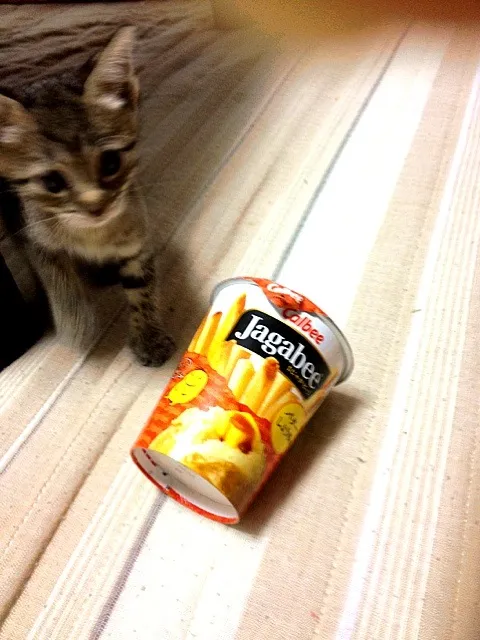 Snapdishの料理写真:じゃがビーと🐱|りんさん