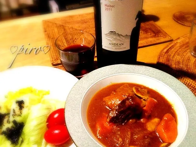 ビーフシチューと赤ワインマルベック Malbec red wine and beef stew|ピロさん