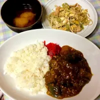 今日の晩ご飯。ナスとトマトのひき肉カレー、ゴーヤともやしの卵とじ、味噌汁です*\(^o^)/*|しおりさん