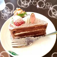 ケーキ|にゃんこさん