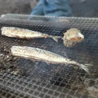 Snapdishの料理写真:BBQ|あいかさん