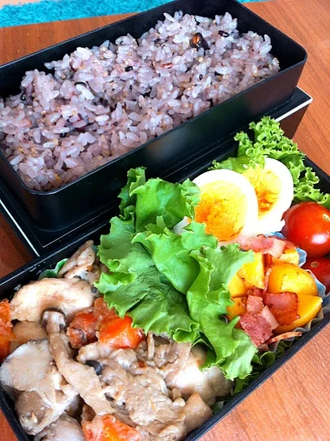 Snapdishの料理写真:満腹！でもカロリー控えめ弁当|林檎屋さん