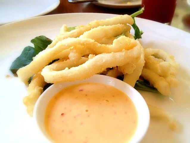 calamari fritti|willzさん