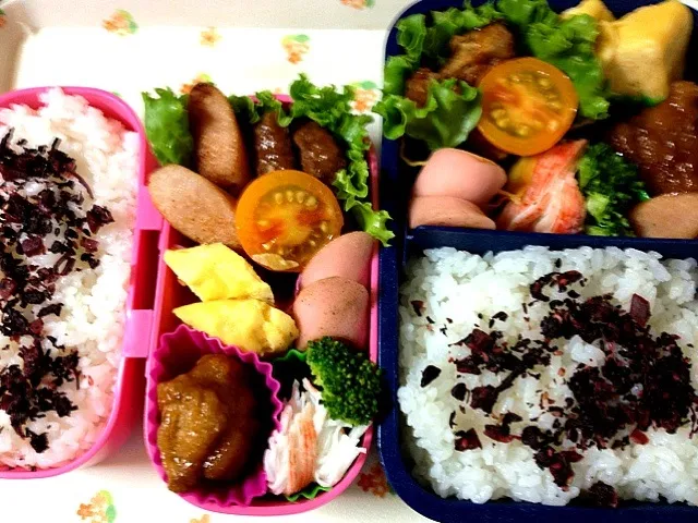 Snapdishの料理写真:通学弁当&パパ弁当|marinaさん