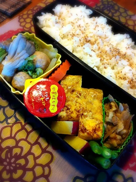 Snapdishの料理写真:舞茸・鶏だんごと白菜の煮物弁当♪|まりさん