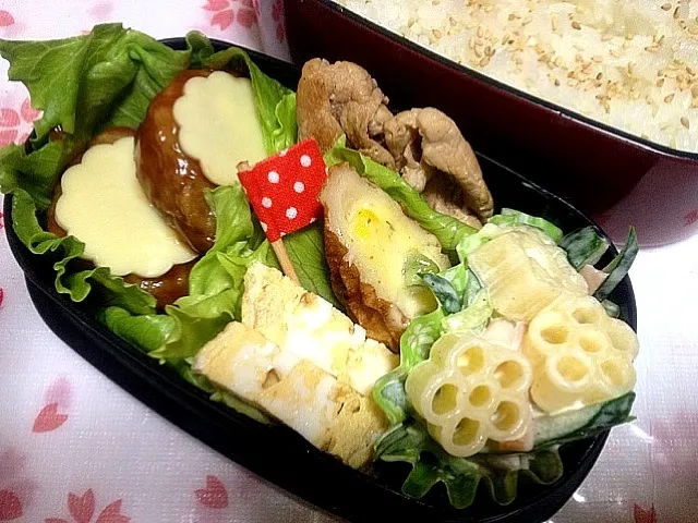 チーズハンバーグ弁当|めぐさん