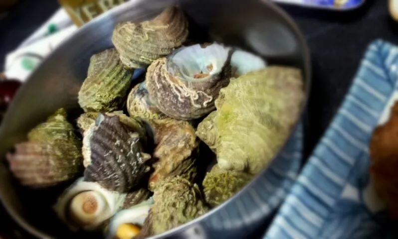 サザエ|じゅなさん