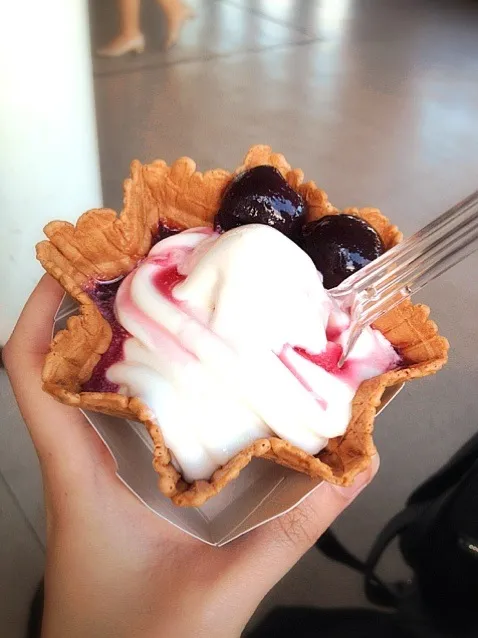 Yogurt softcream with cherries|PhUnGさん