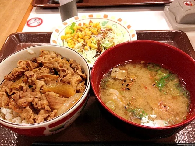 すき屋 牛丼ミニと豚汁サラダセット|もへさん