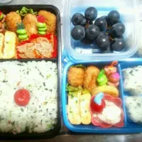 ﾊﾟﾊﾟ&息子のお弁当|くままいさん