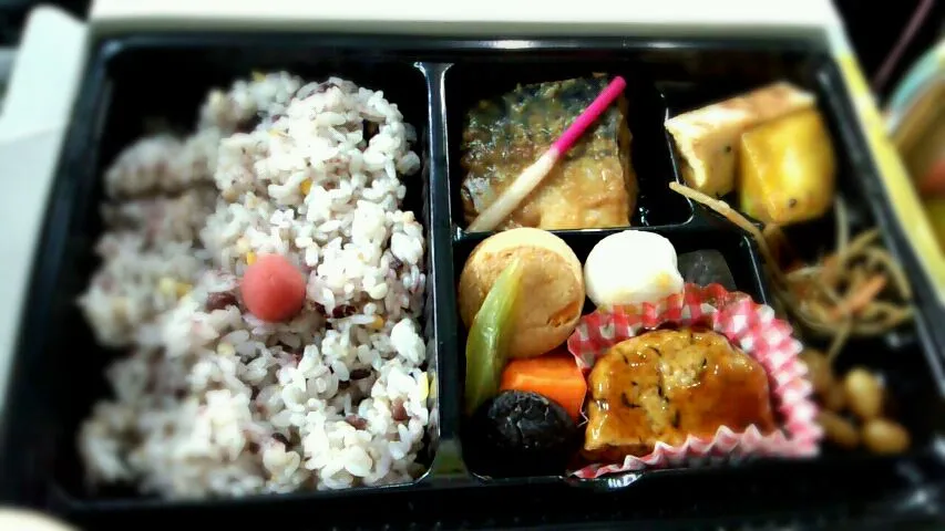 今日のドームご飯は、十五穀米弁当|かおりんさん