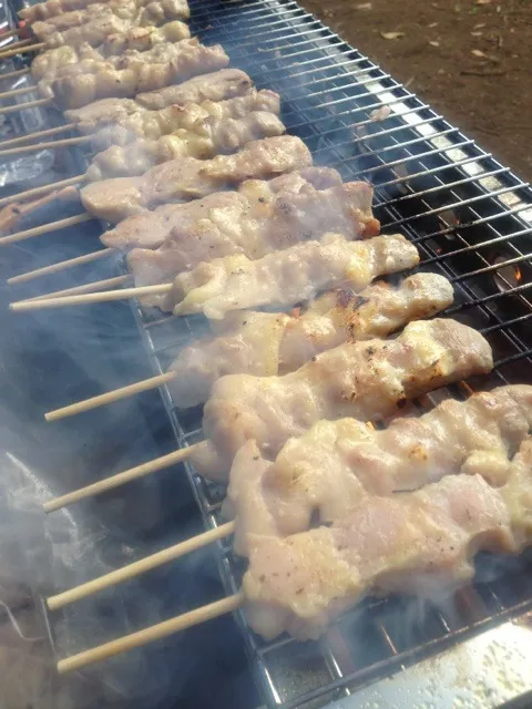 Snapdishの料理写真:焼き鳥|にたさん