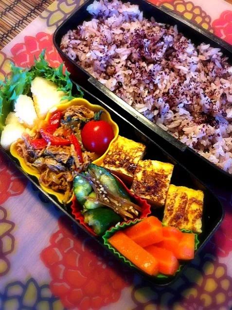 ゴーヤとほろほろポークのチャンプルー弁当♪|まりさん