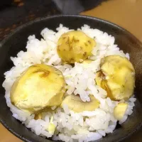 栗ご飯|わさびさん