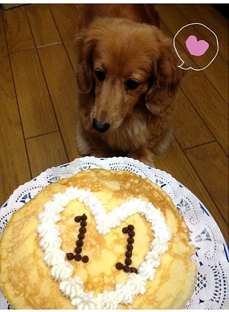 Snapdishの料理写真:|imai natsumiさん