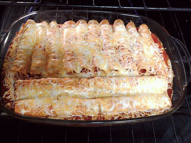 Cheese Enchiladas Sylvia SnapDish ID MDiiba   640