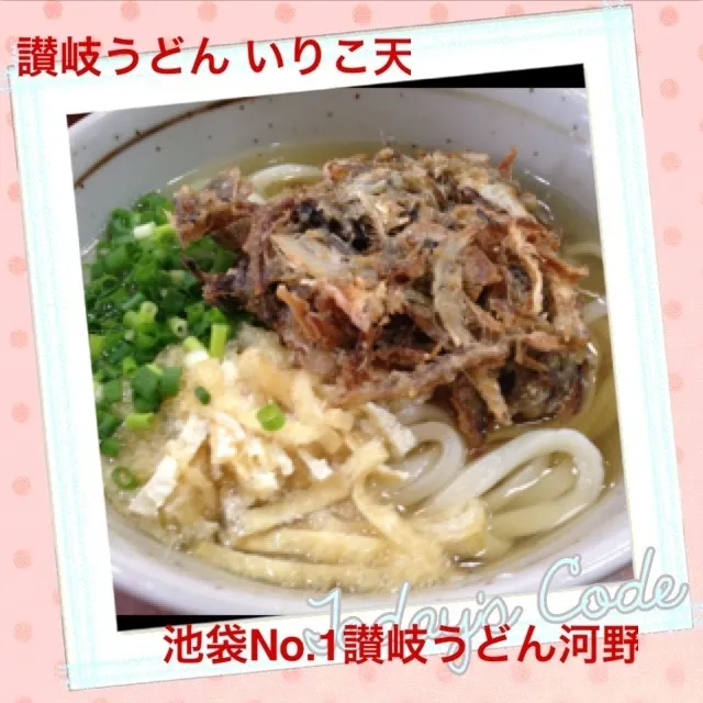 Snapdishの料理写真:讃岐うどん いりこ天(池袋 河野)|juneshunさん