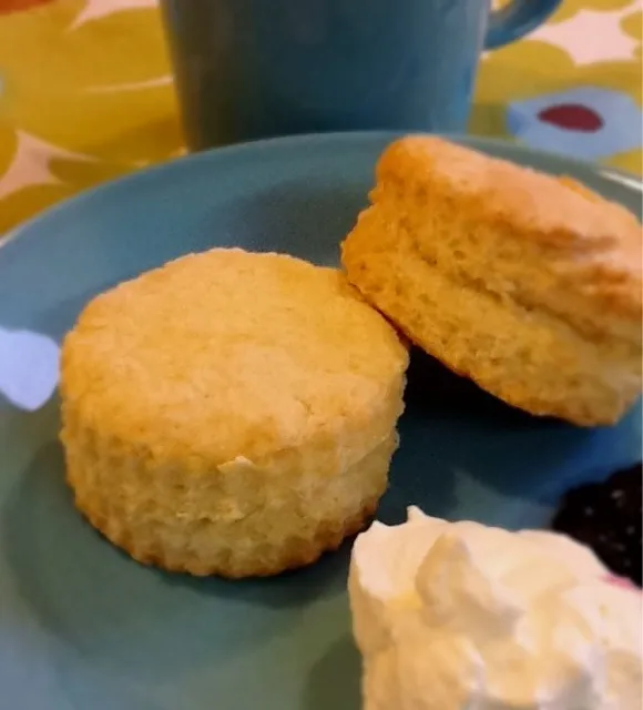 お八つはスコーン|ヴェローナのパン屋さんさん