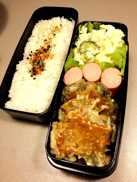 主人のお弁当|あいさん