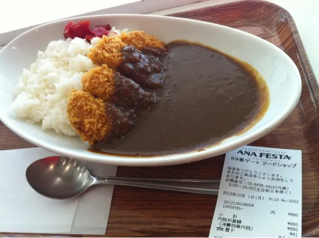 羽田空港５９番ゲートショップのカツカレー|tairaさん