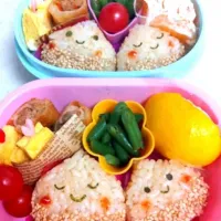 今日の幼稚園のお弁当(^^)