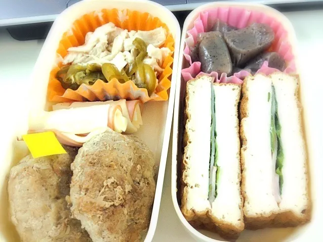 Snapdishの料理写真:今日のお弁当|不動南平さん