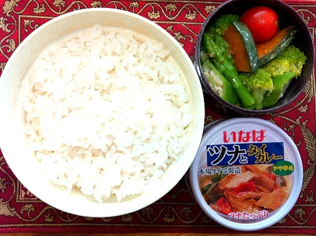 タイカレー弁当|もえさん