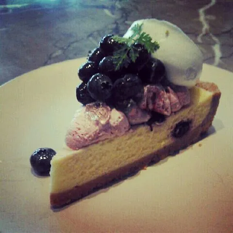 Blueberry Cheese Tart|NNCさん